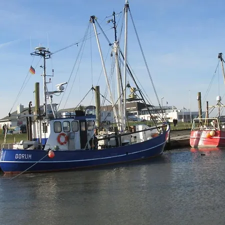 Albatros-herber * Dorum-Neufeld